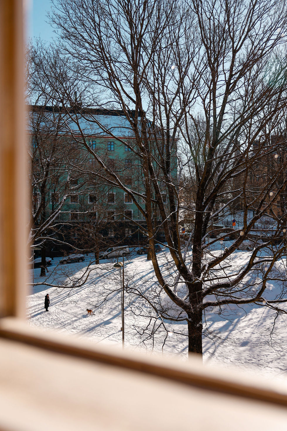 Framed winter - Winter - 23