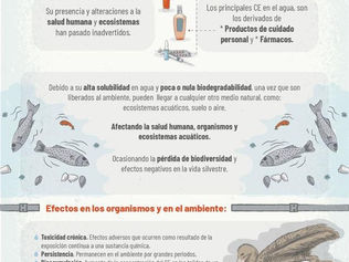 Efectos potenciales de los Contaminantes Emergentes UNAM