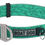Thumbnail: Inshore Ambition Waterproof Adjustable Dog Collar for Active Dogs