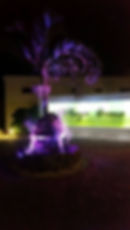 15304112_1850104568567274_54957237576888