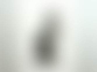 D i e    S t i m m e   d e r   F r a u.