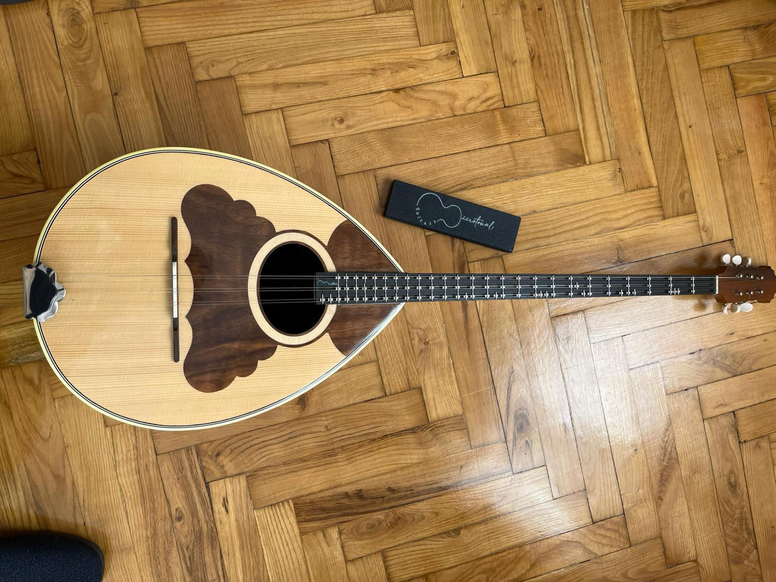 Adjustable Microtonal Bouzouki Fretboard