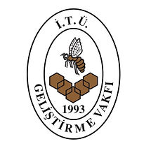 İTÜ Geliştirme Vakfı Logo .jpeg