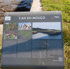 DSCN2294.JPG