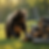 bear wearing a tool belt.png