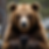 bear on a smart phone.png
