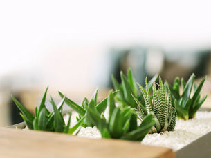 Sales Team Development: Strategies For Growth