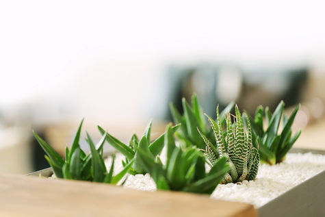 WEEK 11: April 17-April 21