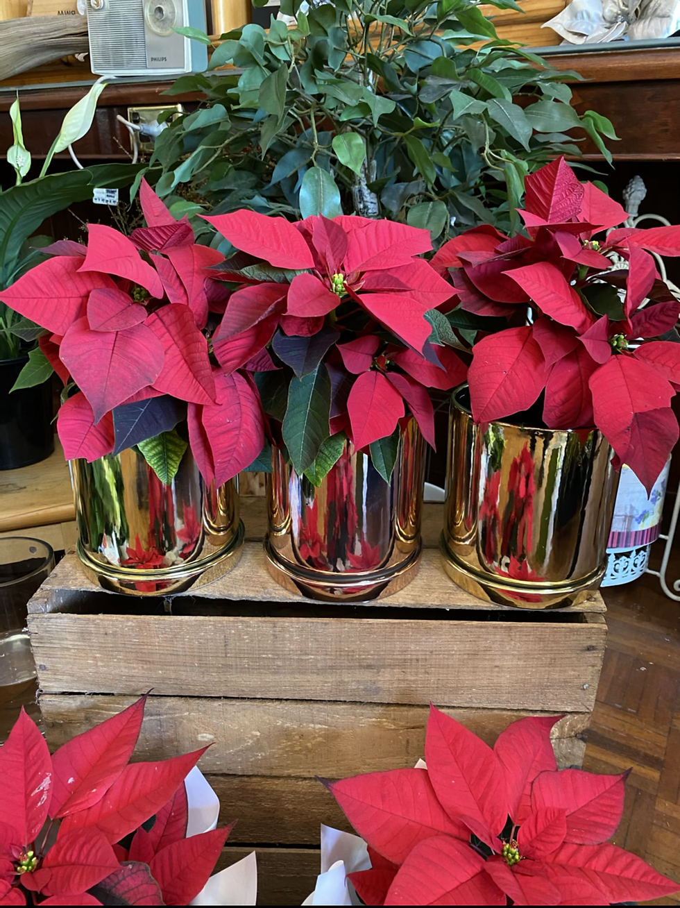 Thumbnail: Pot Bel Electroplated Gold