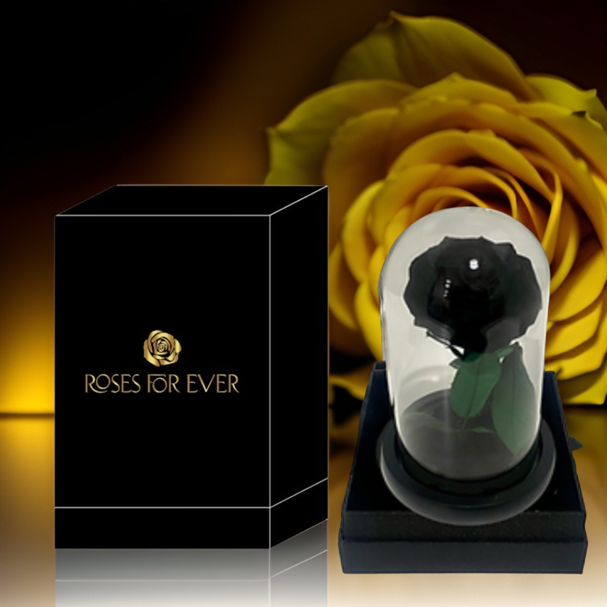 Single Stem Everlasting Rose Black