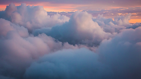 Penny- Landing Page BANNERS (6).png