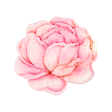 Penny Hovda--_ LOGO (1).png