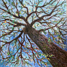 Tree of Life