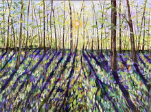 Lavender Fields