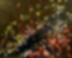 4. Microcosmos Origen Vida