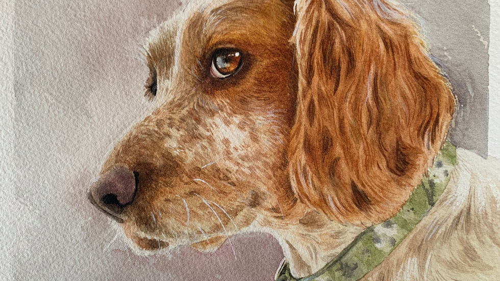 'Jasper', Vanessa Longthorn. Watercolour