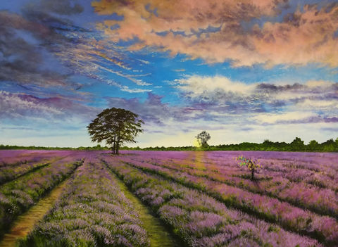 'Lavender Fields', Peter Cleaver