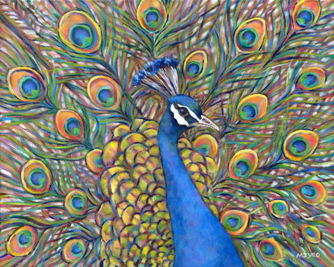 'Peacock Display', Marion Yeo