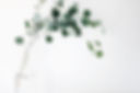 Aspire Homepathy based in Cotwolds UK