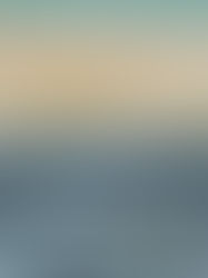 Juste une bouteille à la mer