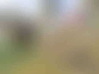 The Elephant in the Room | Are we teaching our competitors to fish?