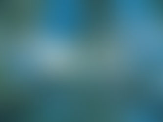 WMA Regulatory Affairs Update – December 2025 Florida Building Commission Meeting – Alert for Side-Hinged Exterior Doors