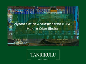 VİYANA SATIM SÖZLEŞMESİNE HAKİM OLAN İLKELER