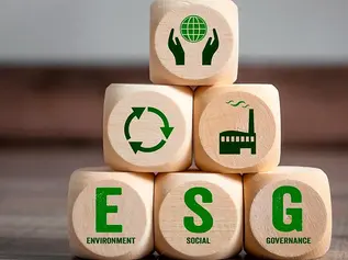 ESG: por que sua empresa precisa entender e refletir essa perspectiva