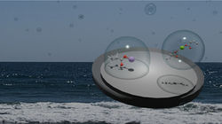 Tumminello et al., 2024 (ES&T)