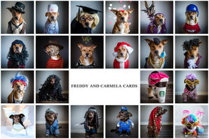 Freddy and Carmela Cards 2016