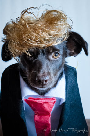 Carmela Vs. Donald Trump