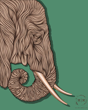 Elephants and Creative Growth