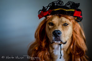 Is that a Pirate Wench I see?