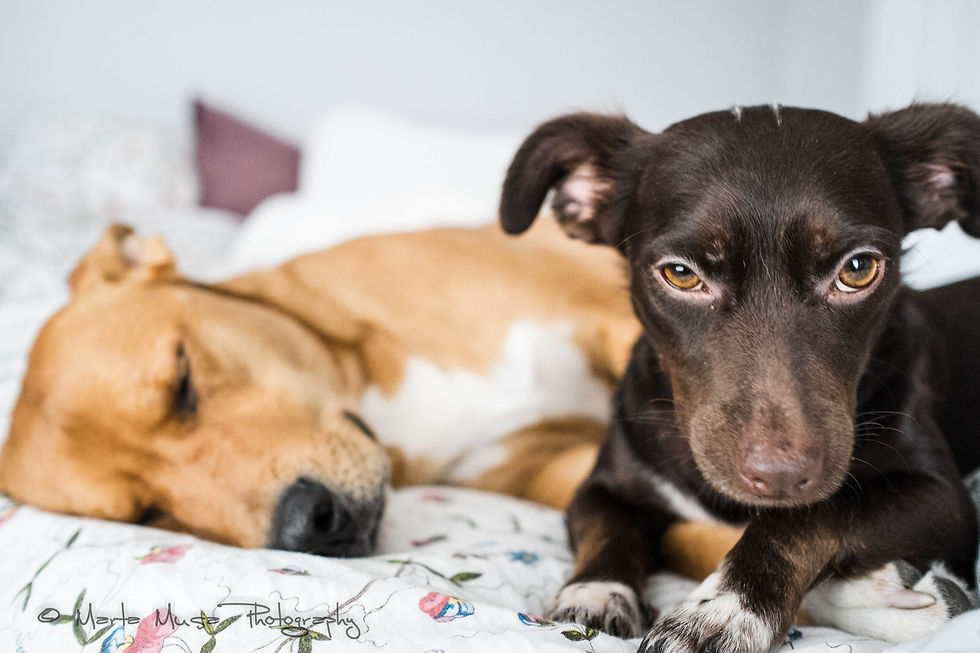 150103_Project 365_9842.jpg