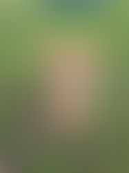 Introducing Leroy Piglet Brown