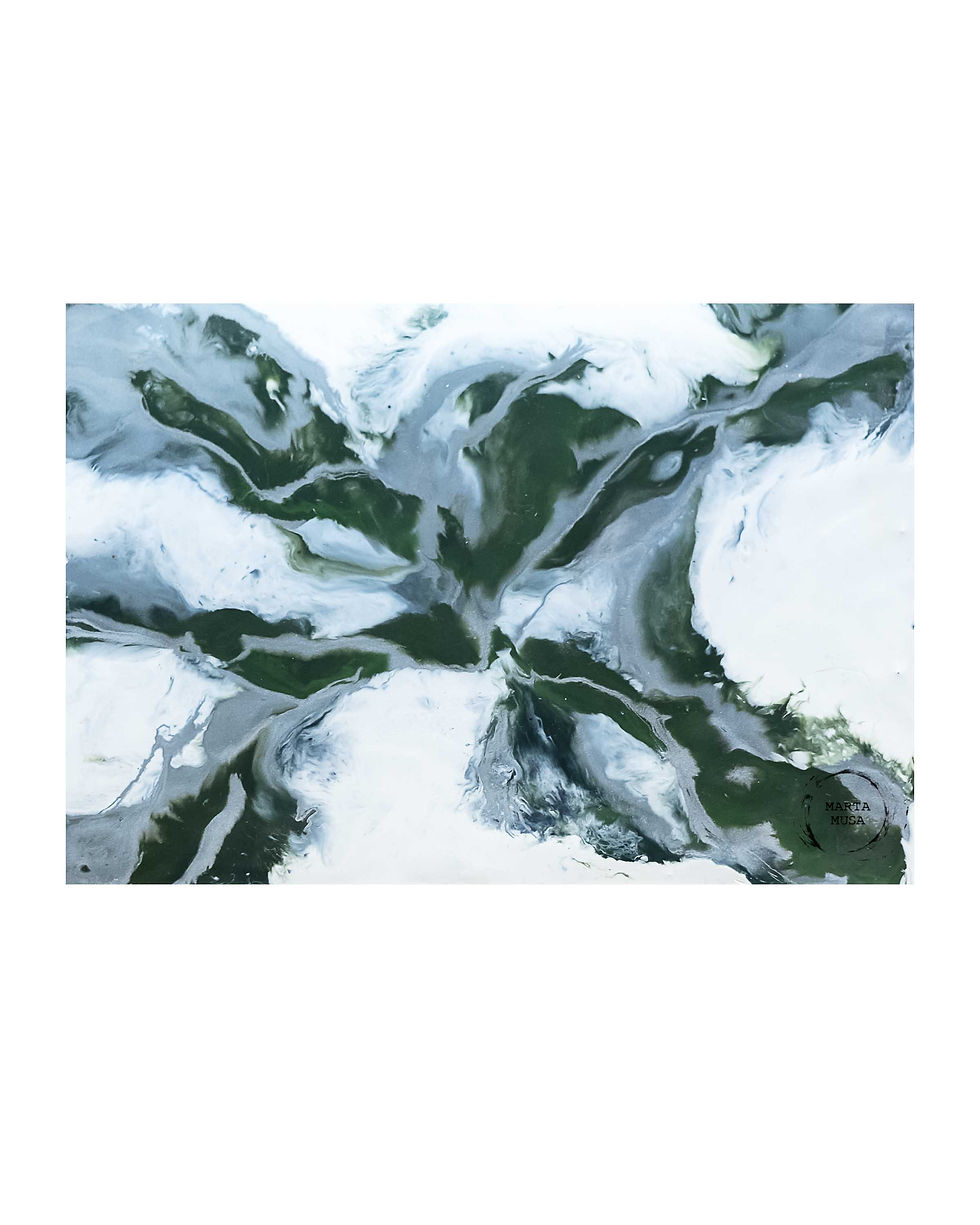 From Above 5 x 7 - $30