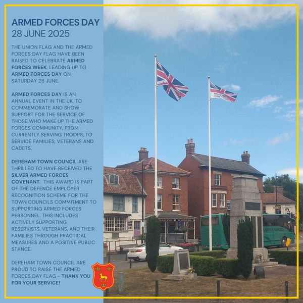 Armed Forces Day - Flag 28 June 2025.jpg