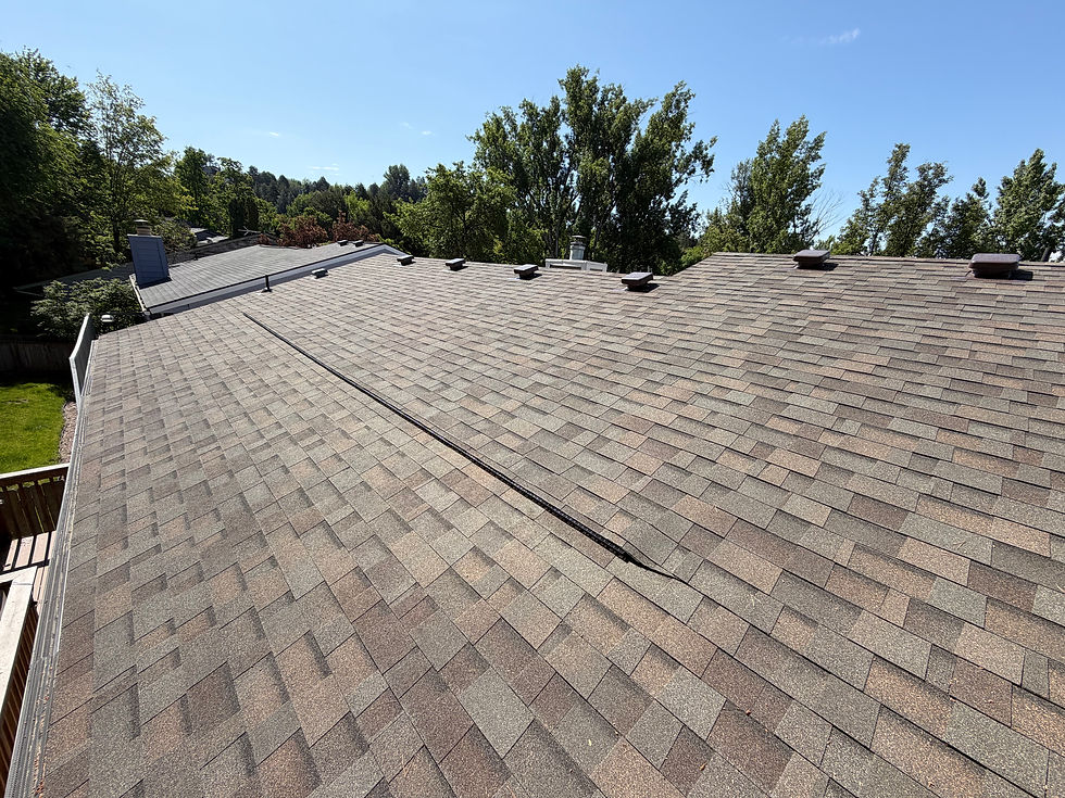 This image shows a completed residential roof replacement featuring Malarkey Vista architectural shingles in Boise.