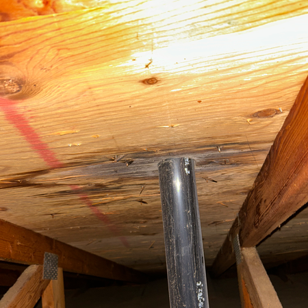 A view from inside the attic showing dark water stains and wood rot on the underside of the plywood roof boards near a pipe.