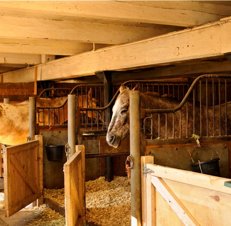 Horse bedding_edited.jpg