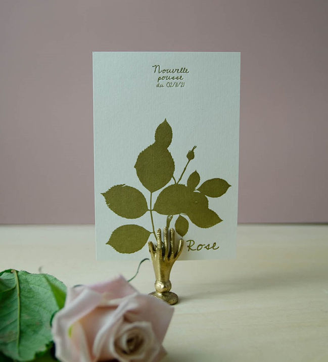 faire-part naissance encre dorée