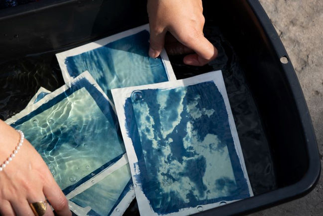 Cyanotype rincage