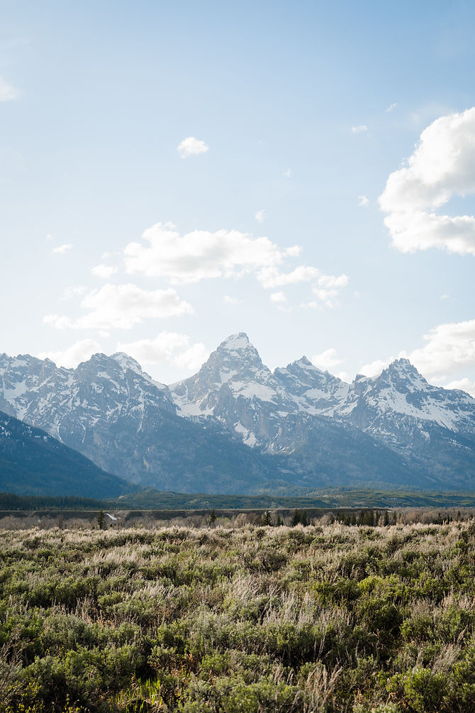 jonah-brown-Dh57U5mkPFg-unsplash.jpg