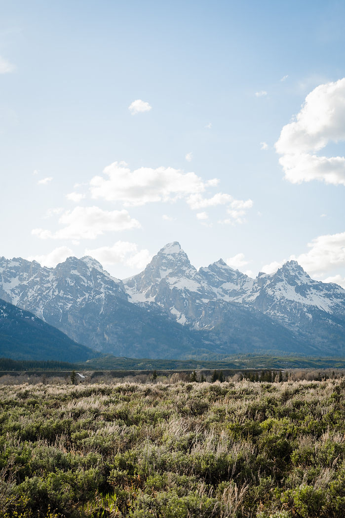 jonah-brown-Dh57U5mkPFg-unsplash.jpg