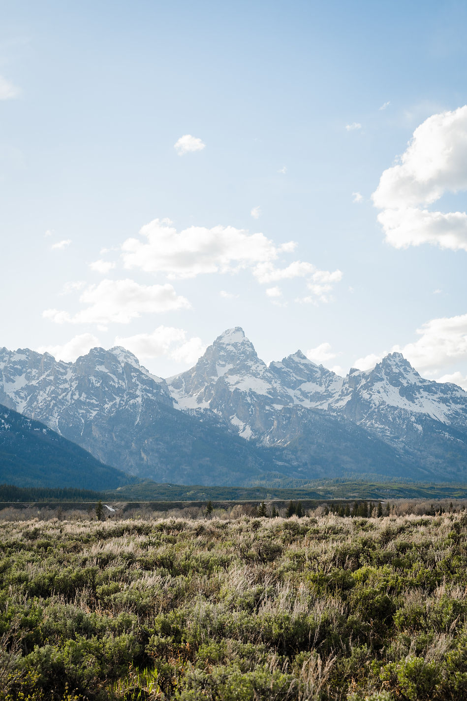jonah-brown-Dh57U5mkPFg-unsplash.jpg