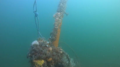 GH010778 - frame at 0m3s.jpg