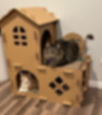 Two cats inside and on a cardboard house; brown tabby lounging comfortably.