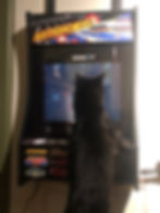 Black cat playing Asteroids arcade game, watching the screen intently.
