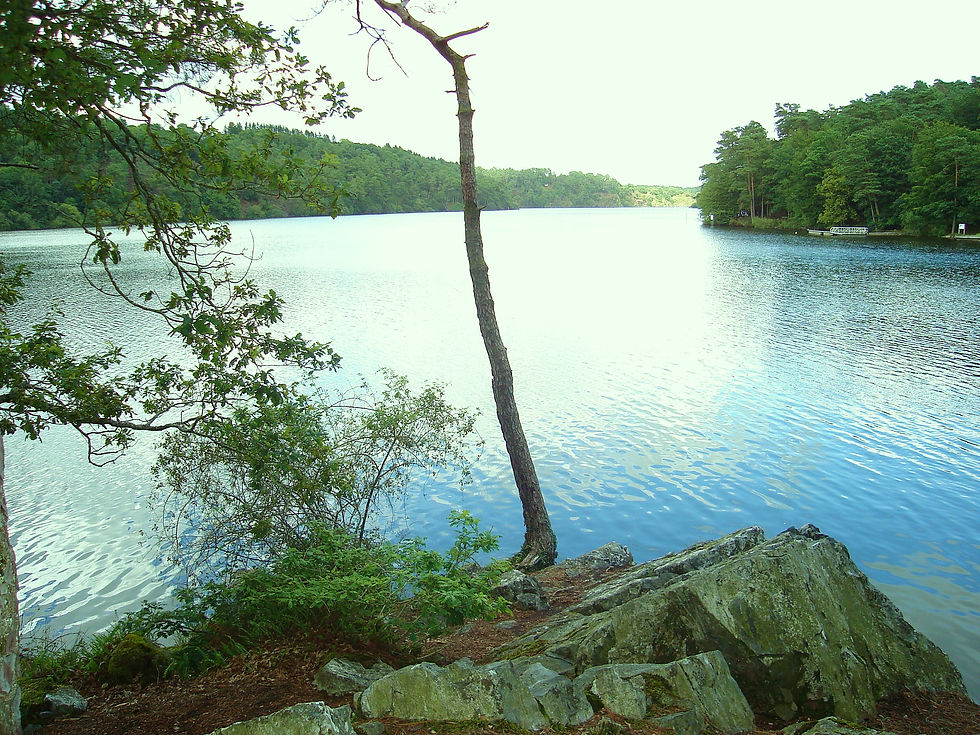 Gwerledan
