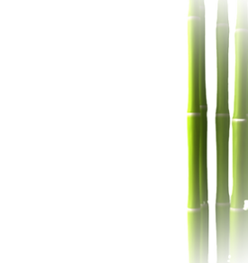 Green Bamboo Stalks_edited_edited.png